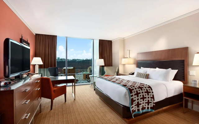 Deluxe Double room with river view