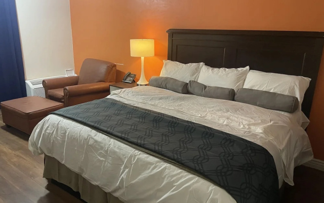 Standard Suite