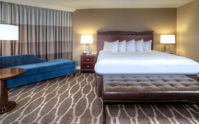 1 Bedroom Double Suite