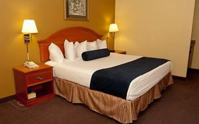 Premium Apartment