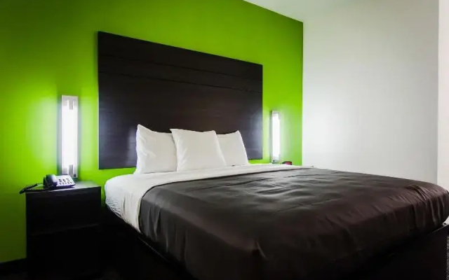 Standard Single room