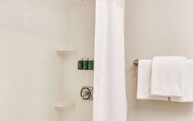 1 Bedroom Quadruple Suite