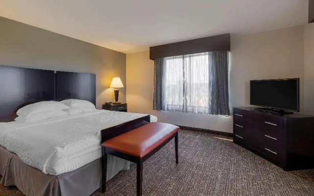 Standard Suite