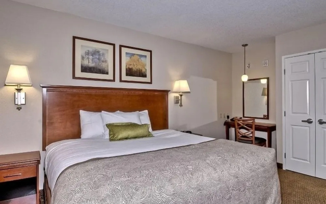 1 Bedroom Suite