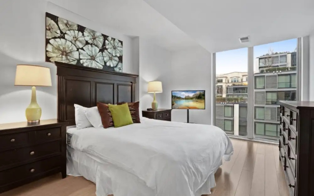 Luxury Apartment