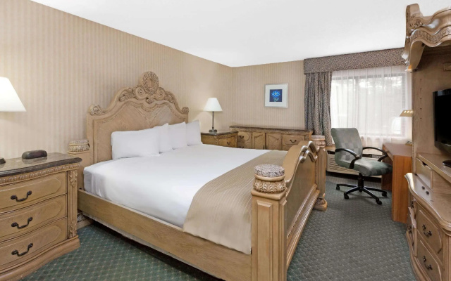 1 Bedroom Double Suite