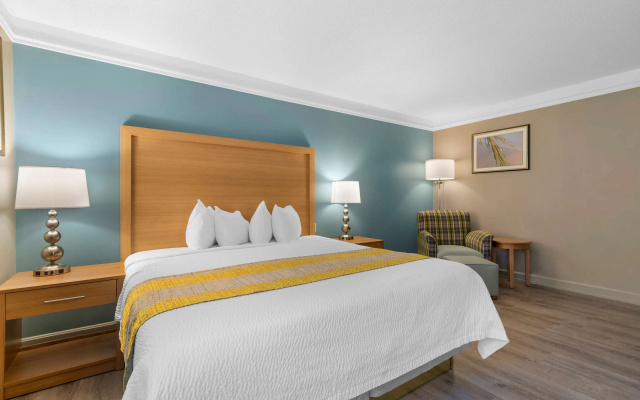 Business Double room