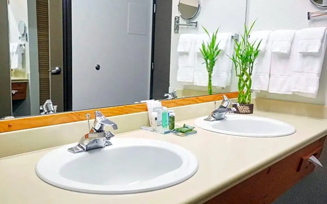 Double Suite