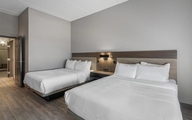 Quadruple Suite