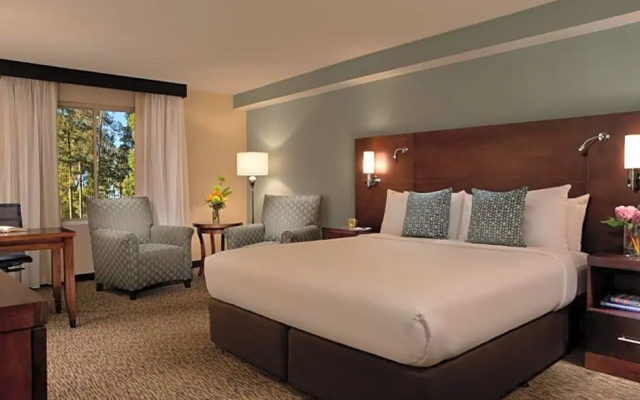 Deluxe Double room with courtyard view
