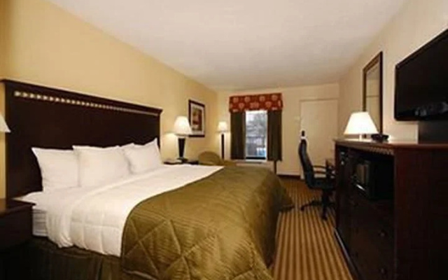 Standard Suite