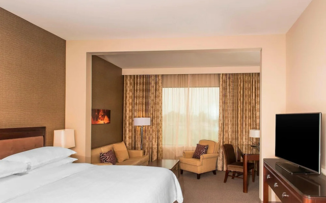 1 Bedroom Suite with lake view