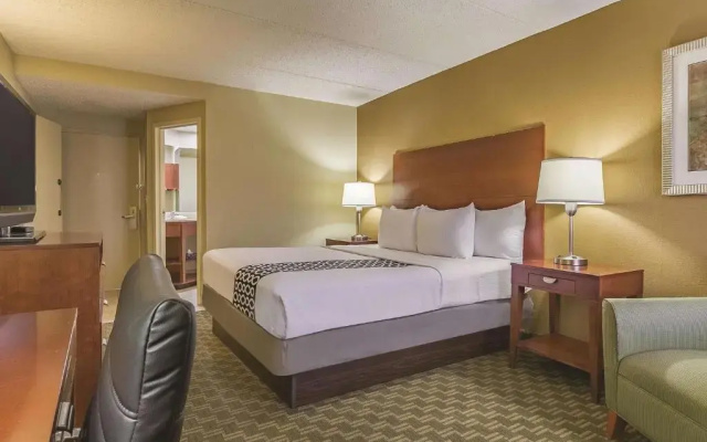1 Bedroom Double Suite