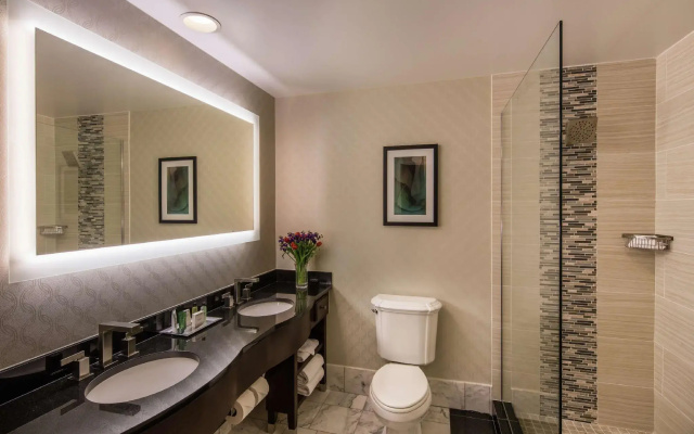 Executive Double Suite
