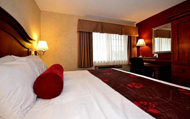 Double Junior Suite