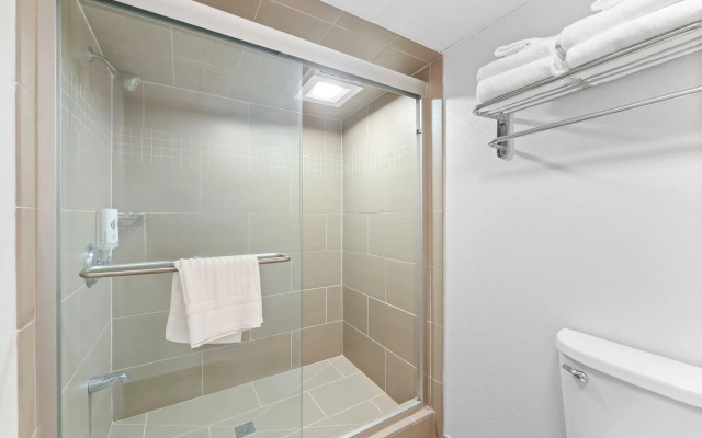 Business Double Suite