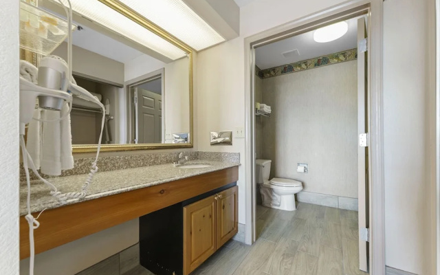 Premium Apartment