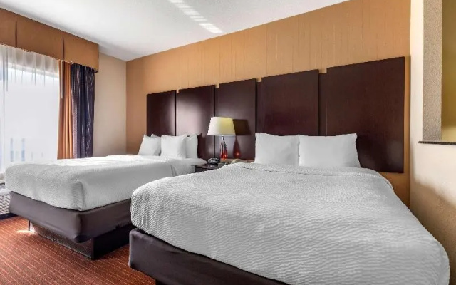 Standard Suite