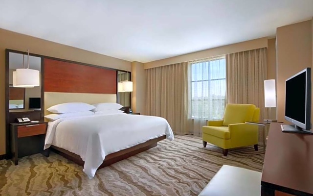 Mobility Accessible Double Suite