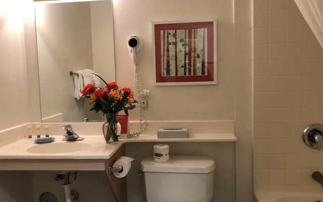 Executive Quadruple Suite