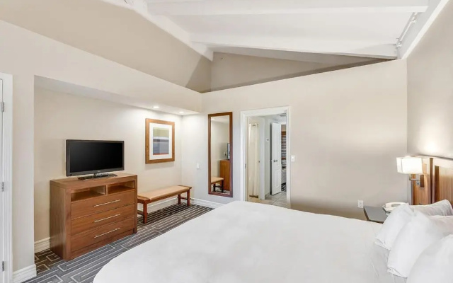 1 Bedroom Standard Double Suite