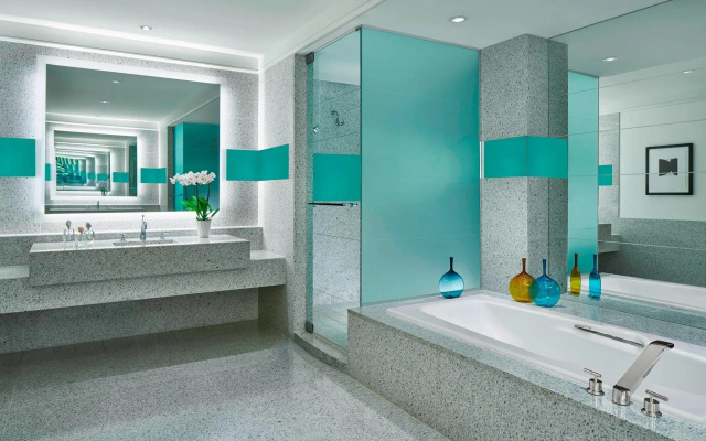 1 Bedroom Presidential Suite