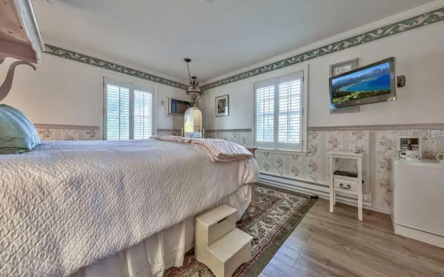 Standard Double room with garden view