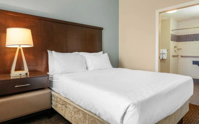 1 Bedroom Suite