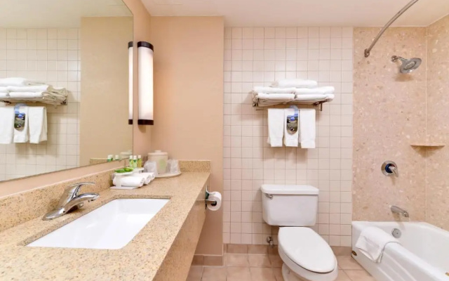 Twin Suite