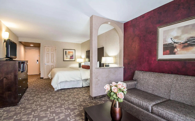 1 Bedroom Suite