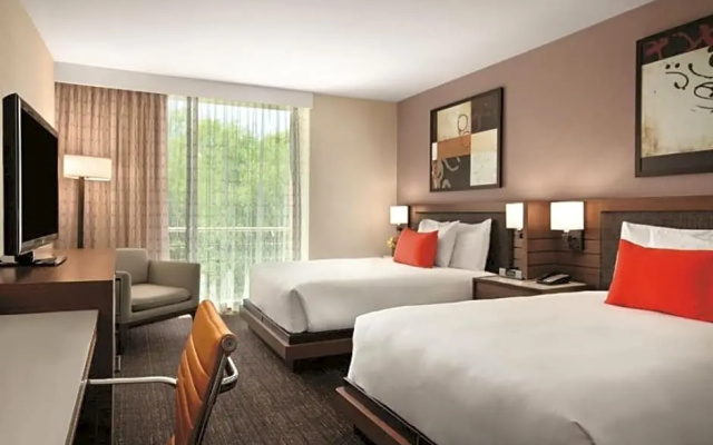 Pure Hypoallergenic Room room
