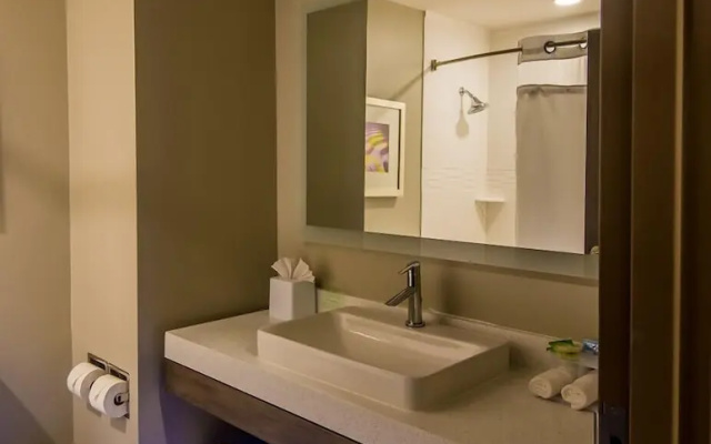 1 Bedroom Suite