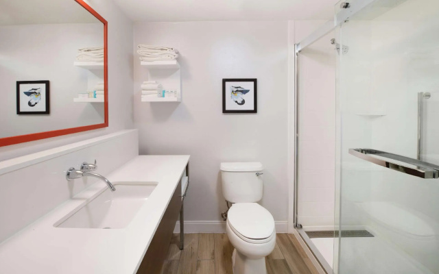 1 Bedroom Double Suite
