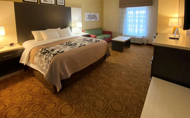 1 Bedroom Suite