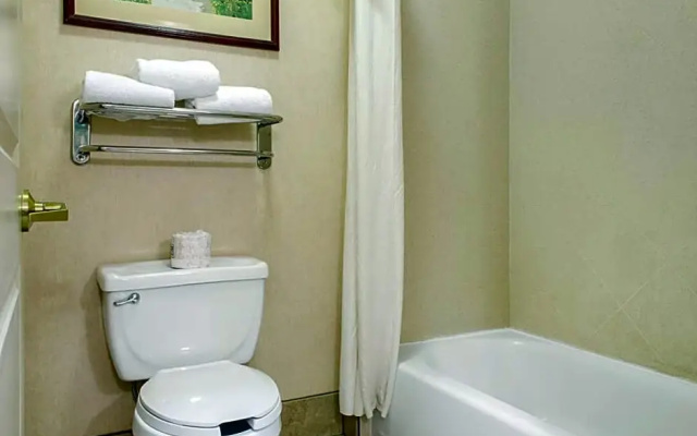 1 Bedroom Quadruple Suite
