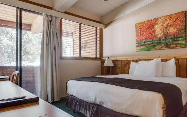 1 Bedroom Standard room