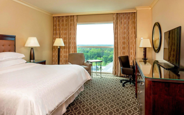 Standard Sextuple room
