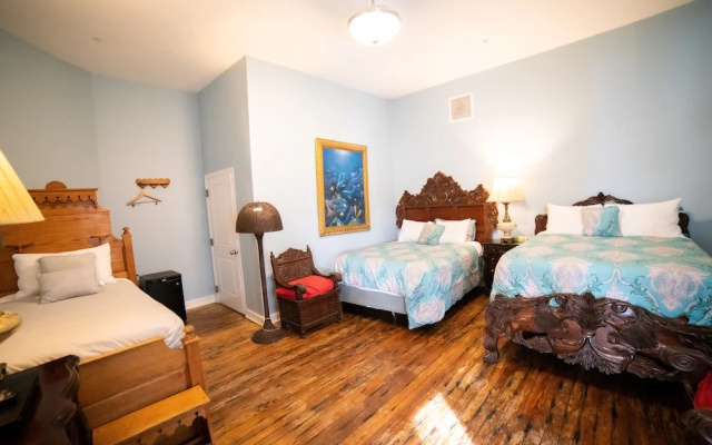 Premium Double Basement room