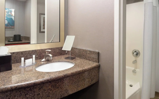 1 Bedroom Executive Suite