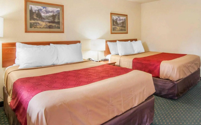 Economy room