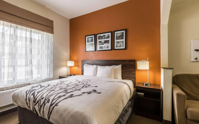 1 Bedroom Suite