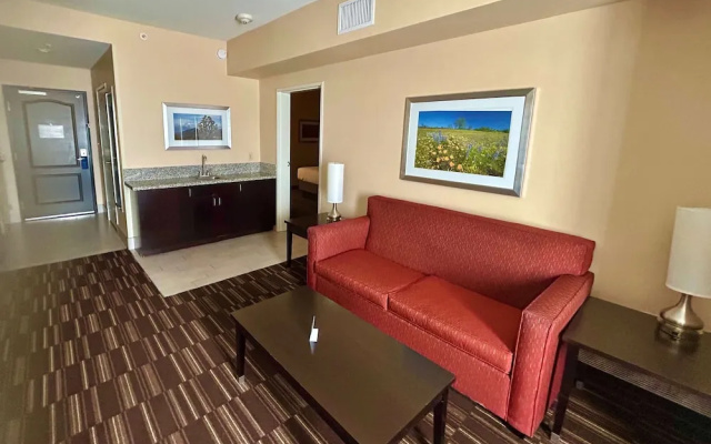 1 Bedroom Suite