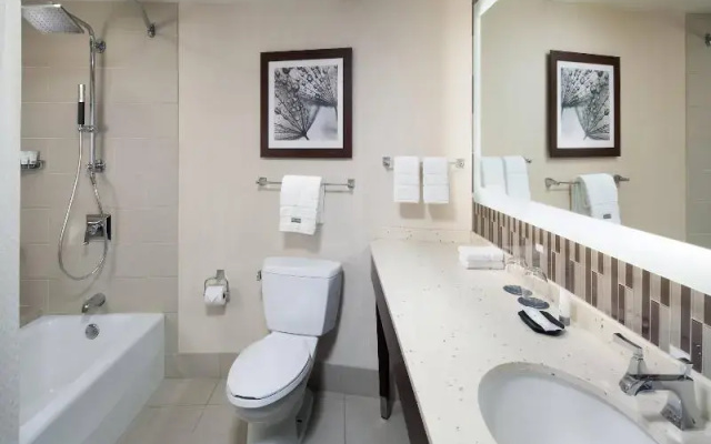 Luxury Suite