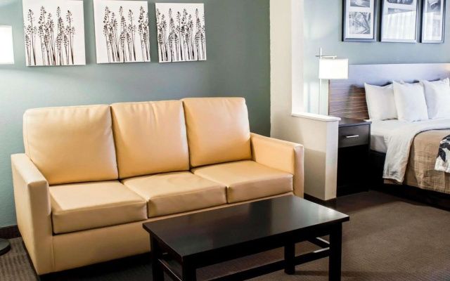 1 Bedroom Suite