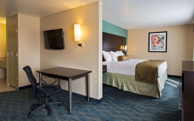 1 Bedroom Suite