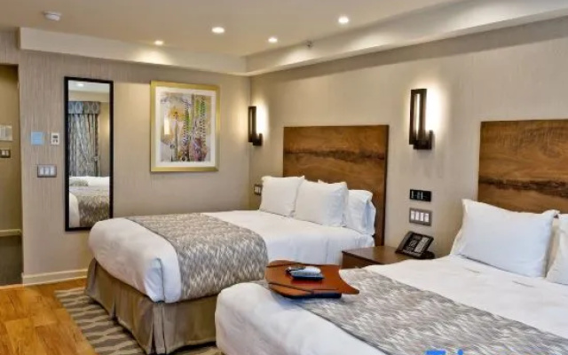 Superior Quadruple room