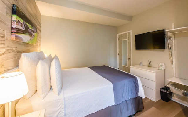 Standard Double room with canal view