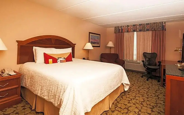 1 Bedroom Whirlpool Double Suite