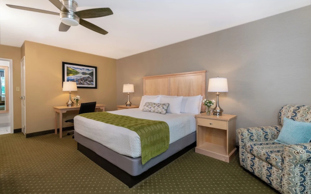 Double Suite