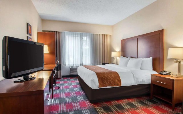1 Bedroom Suite
